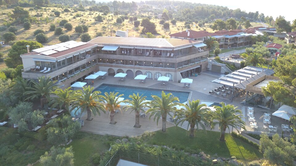 Blue Dolphin1a