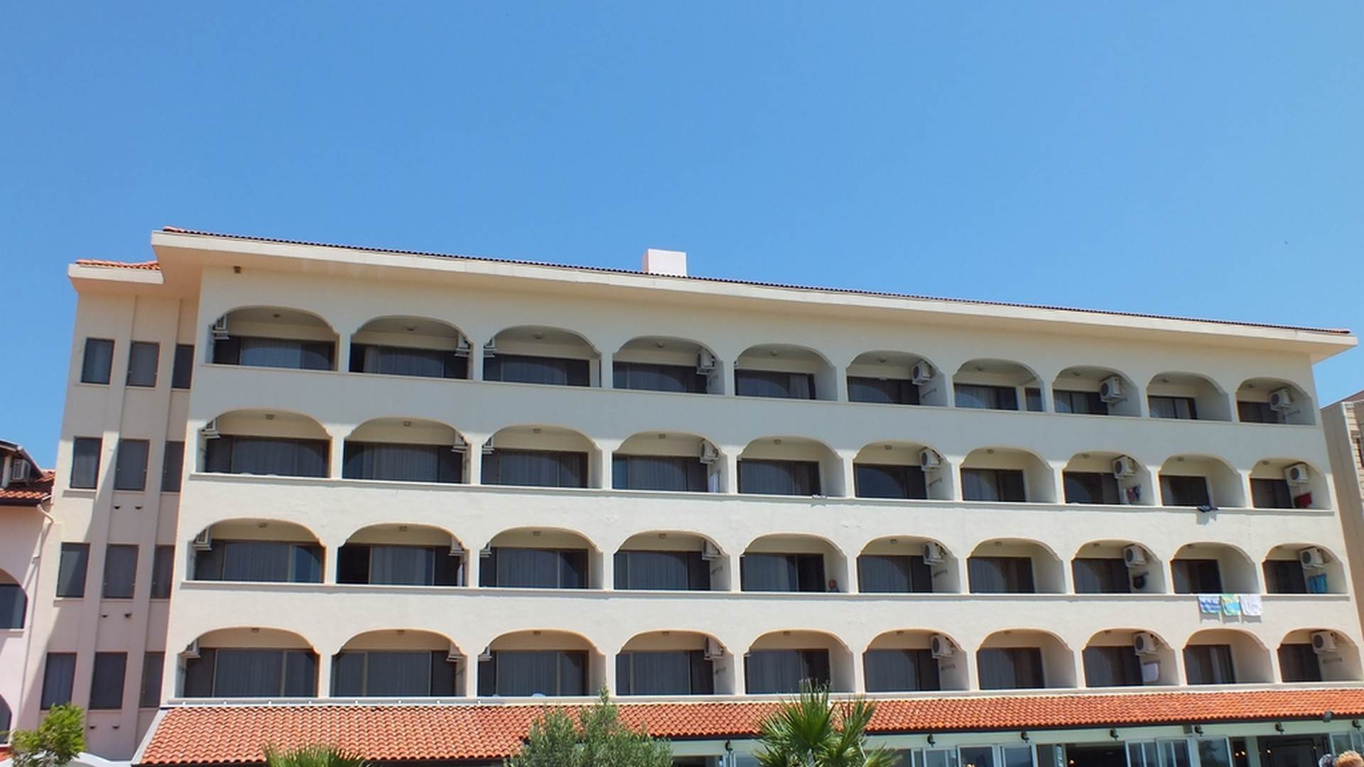 Olivera1a