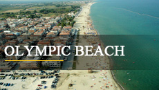 Olympic Beach